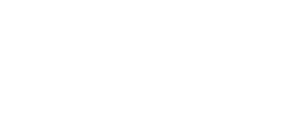 Intrepid Logo white